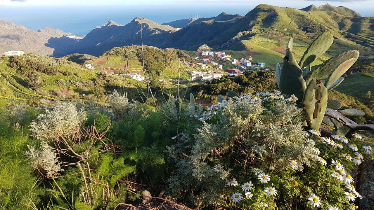 La Casita De Omar En El Corazon De Anaga Y La Laguna Las Mercedes 외부 사진