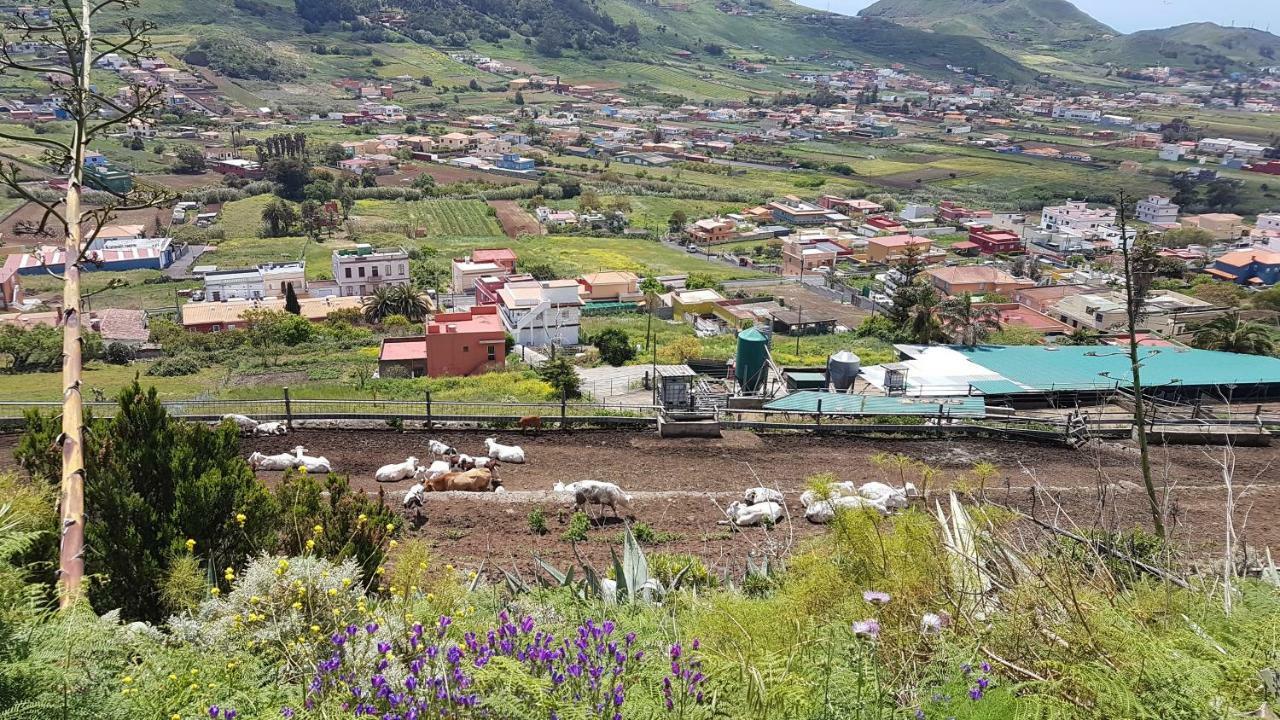 La Casita De Omar En El Corazon De Anaga Y La Laguna Las Mercedes 외부 사진